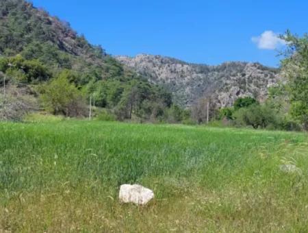 Marmaris Turgut Investment Land For Sale 29600M2 For Sale