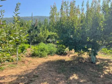 Muğla Ula Köprübaşı Mahallesin In 2378M2 Land In 3 1 Vlla For Sale