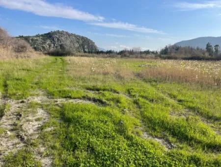 6800 M2 Land For Sale In Dalyan With 5% Residential Zoning