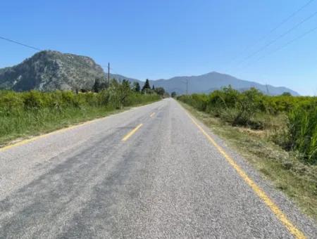 6,500M2 Field For Sale On The Iztuzu Road In Dalyan