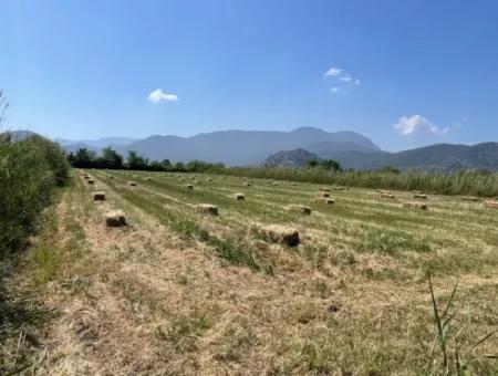 6,500M2 Field For Sale On The Iztuzu Road In Dalyan