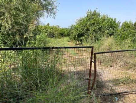 10.000M2 Land For Sale In The Village Built-Up Area In Okçular