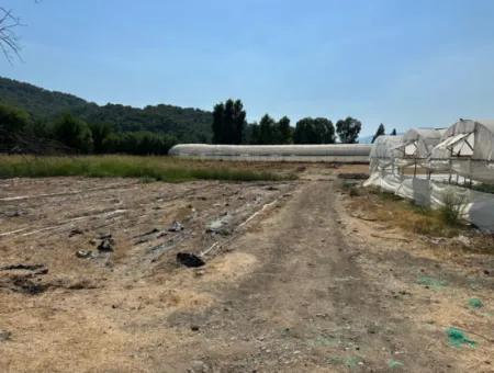 1462M2 Zoned Land For Sale In Ortaca Ekşiliyurt