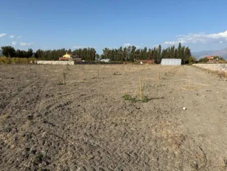 19.663M2 Land For Sale In Eskiköy