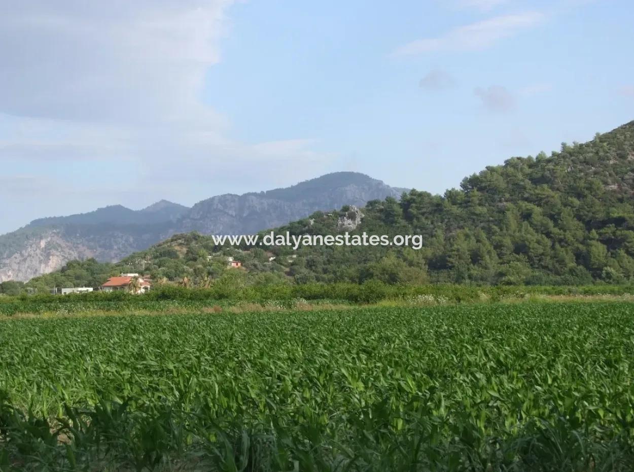 Dalyan Satılık Tarla Dalyan Merkeze Yakın 14,612M2 Satılık Tarla