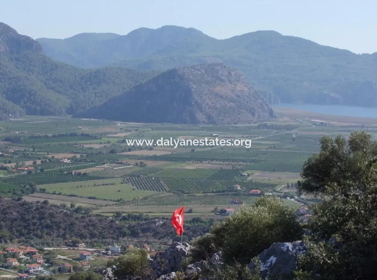 Dalyan Satılık Arsa Dalyan Maraşda 7300M2 %5 İmarlı Satılık Arsa