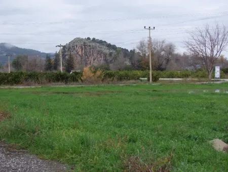 Dalyan Gülpınar Satılık Arsa Dalyan 1,002M2 Satılık Köşenası Satılık Arsa