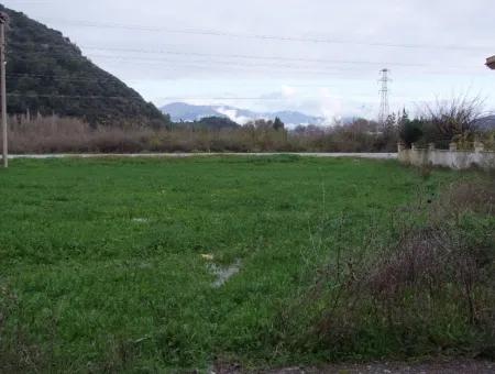 Dalyan Gülpınar Satılık Arsa Dalyan 1,002M2 Satılık Köşenası Satılık Arsa