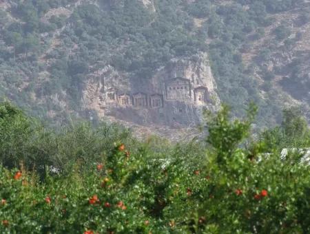 Dalyan İztuzu Satılık Bahçe Dalyan Göle Sıfır Satılık Arsa