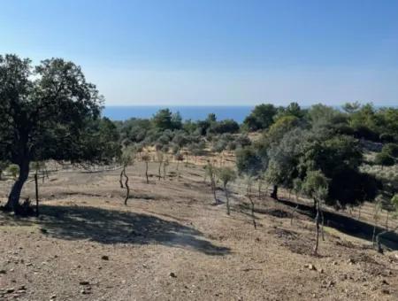 Çandır Deniz Manzaralı Satılık Tarla Arsa