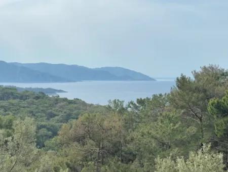 Ekincikde Deniz Manzaralı Zeytin Evi Satılıktır