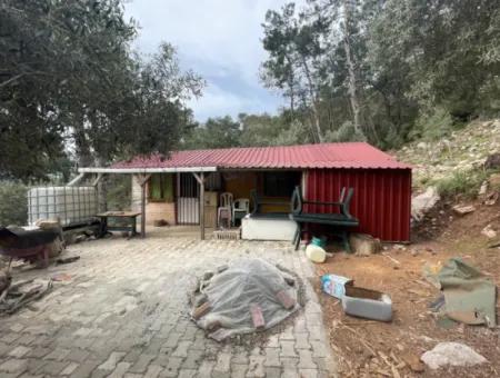 Ekincikde Deniz Manzaralı Zeytin Evi Satılıktır