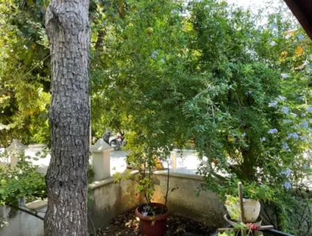 Dalyan Merkezde 5+1 Satılık Villa