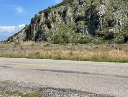 Dalyan İztuzu Plaj Yoluna Sıfır 19,600M2 Satılık Tarla Arazi