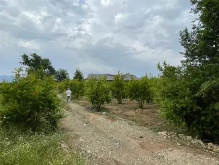 Dalyan''da Merkeze Yakın 2,528M2 Satılık Tarla