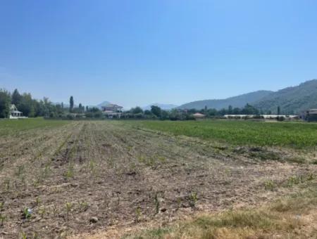 Okçular'da Köy Yerleşik Alanda 2715M2 Satılık Arsa