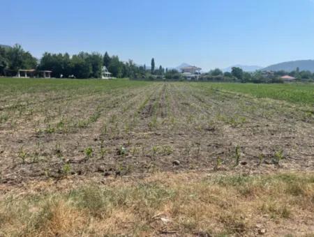 Okçular'da Köy Yerleşik Alanda 2715M2 Satılık Arsa