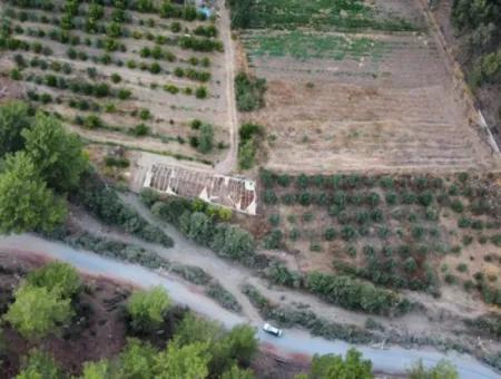 Mergenlide Aşı Koyu Yolu Üzerinde Satılık 3578M2 Tarla