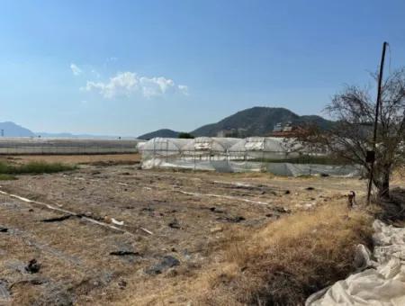 Ortaca Ekşiliyurt'ta 1462M2 İmarlı Satılık Arsa